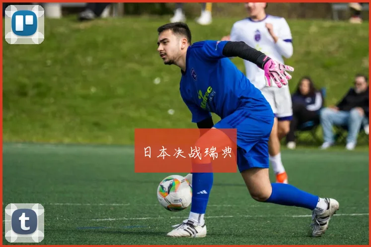 日本决战瑞典