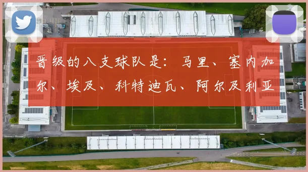 晋级的八支球队是:马里、塞内加尔、埃及、科特迪瓦、阿尔及利亚、尼日利亚、喀麦隆和摩洛哥