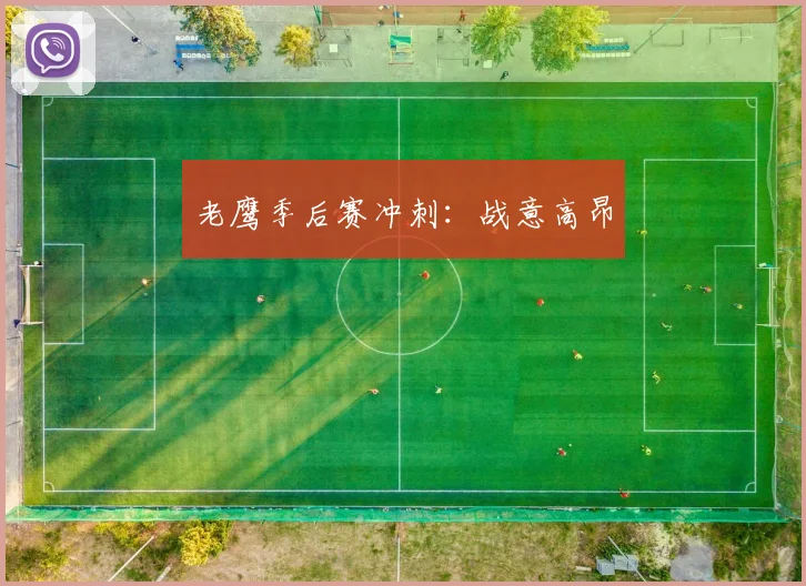 老鹰季后赛冲刺：战意高昂