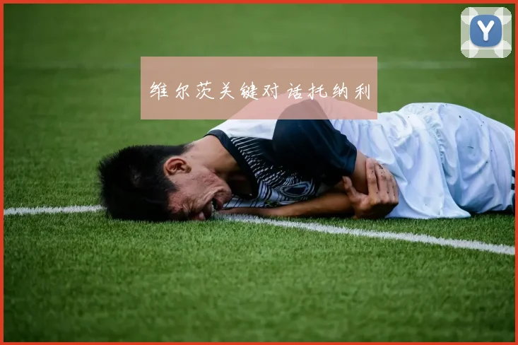 维尔茨关键对话托纳利