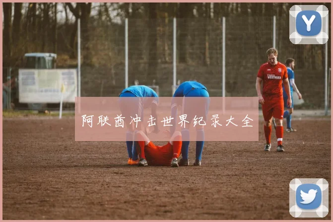 阿联酋冲击世界纪录大全