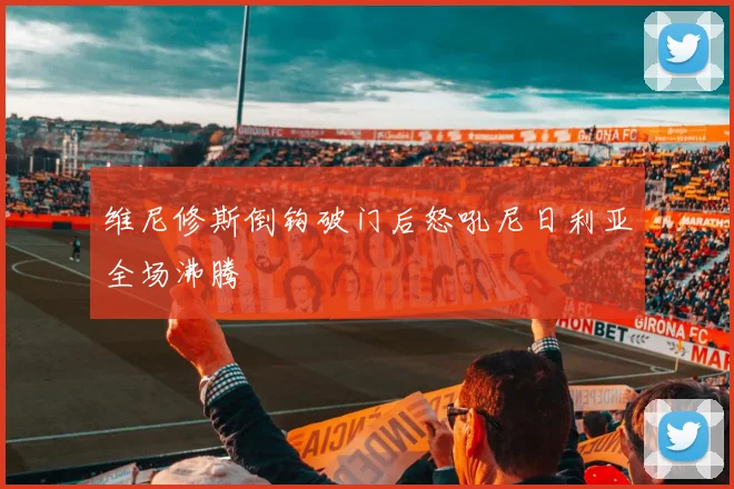 维尼修斯倒钩破门后怒吼尼日利亚全场沸腾