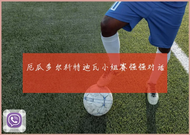 厄瓜多尔科特迪瓦小组赛强强对话