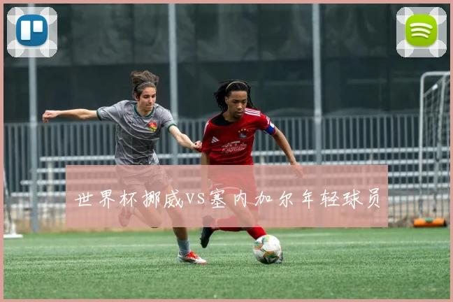 世界杯挪威vs塞内加尔年轻球员