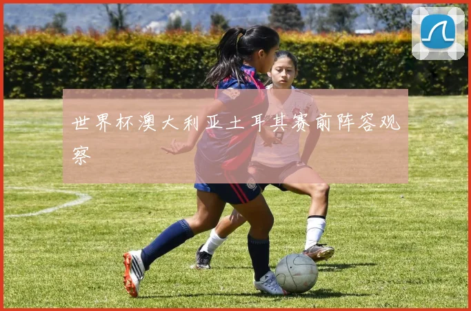 世界杯澳大利亚土耳其赛前阵容观察
