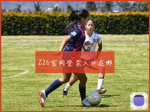 Z26官网登录入口在哪