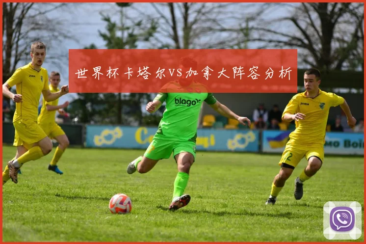 世界杯卡塔尔vs加拿大阵容分析